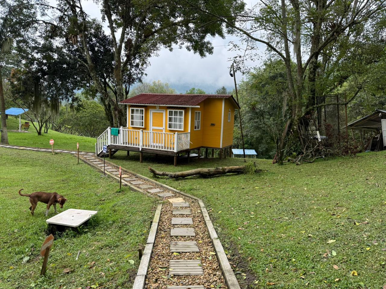 Descripción 2